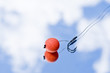 Fishing Bait