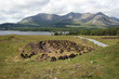 Turf cutting in rural Ireland Turf cutting in rural Ireland