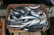Caisse de poisson frais
