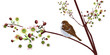 nature background