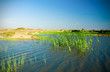 Ditch and Grass