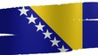 Pennello Bosnia-Erzegovina Pennello Bosnia-Erzegovina