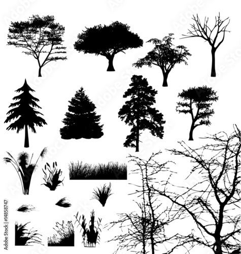 silhouetts
