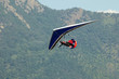 hang glider
