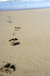 Footprint in the sand Footprint in the sand