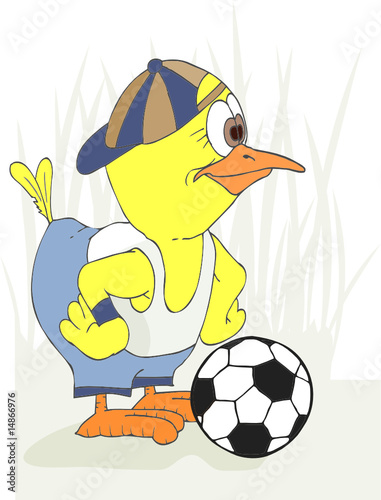 Football Chicken