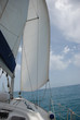 velero-foque