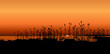 dawn background