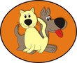 Hund_und_Katze Hund_und_Katze