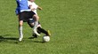 tacle tacle