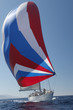 Sailing Boat in Yacht Race