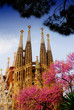 sagrada familia barcelona spain sagrada familia barcelona spain