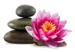 Fleur de lotus et galets zen