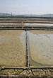 Salt Crystallization Field