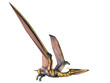 Quetzlcoatlus