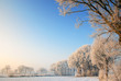 winter landscape in holland