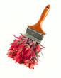 Red wildflower paintbrush Red wildflower paintbrush