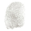 Fingerabdruck Fingerabdruck