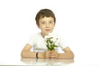 petites fleurs pour ma maman