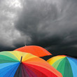umbrella