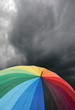 umbrella 2