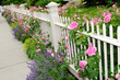 Garden Fence with Pink Roses