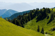 Paysage alpin (Charmant Som)