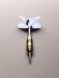 Dart Pfeil