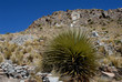 bolivia