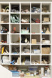 Tool Shelves