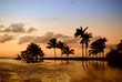 sunset palm in cuba