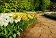 springgarden keukenhof holland