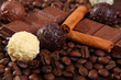 pralinen mit kaffeebohnen,schokolade und zimt