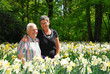 seniors in keukenhof holland