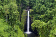 Waterfall in Samoa surrounded by lush vegetation