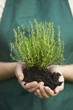 Woman Holding Potted Plant