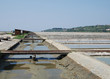 Salt Crystallization Field, Seca, Slovenia