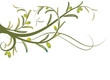 olive tree, vector illustration in green