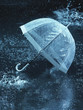Unused umbrella, lying on ground being rained upon