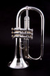Silver Flugelhorn Isolated on Black