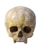Totenkopf
