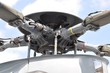 Rotor