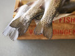 Photo: Fish hanging out of box, low section Fish hanging out of box, low section