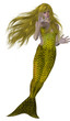 Swimming Mermaid Swimming Mermaid
