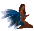 Blue  Fairy