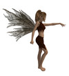 Forest Fairy Forest Fairy