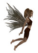 Forest Fairy