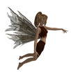 Forest Fairy Forest Fairy