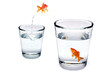 Fliegender Fisch