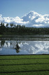 Landscape with rice fields and dramatic sky